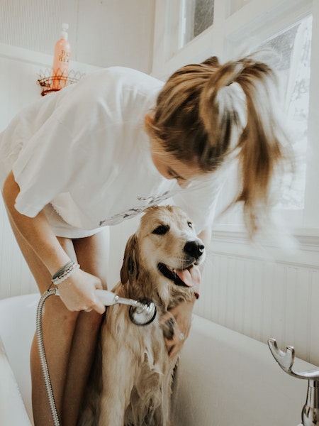 Golden Grrl® Highlighting Kit for Blonde Dogs